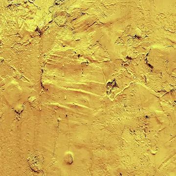 Lasche 2009 | Gold