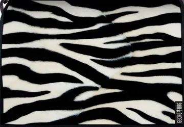 Lasche 433 | Zebra