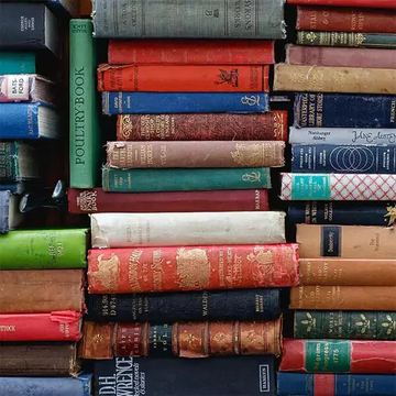 Lasche 2033 | Bücher