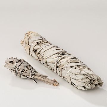 Sage – weißer Salbei