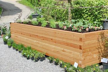 Hochbeet “dicke Berta” 125×393