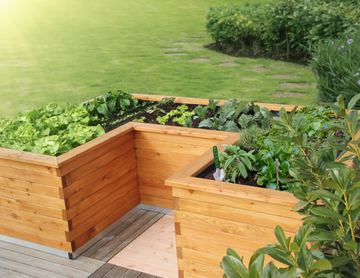 Hochbeet U-Marie 300×400 extrabreit