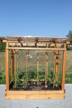 2. Folie für Tomaten-Paradies