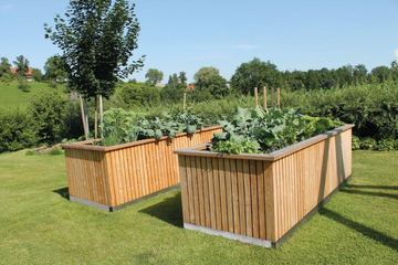 Hochbeet Elise 111 x 286