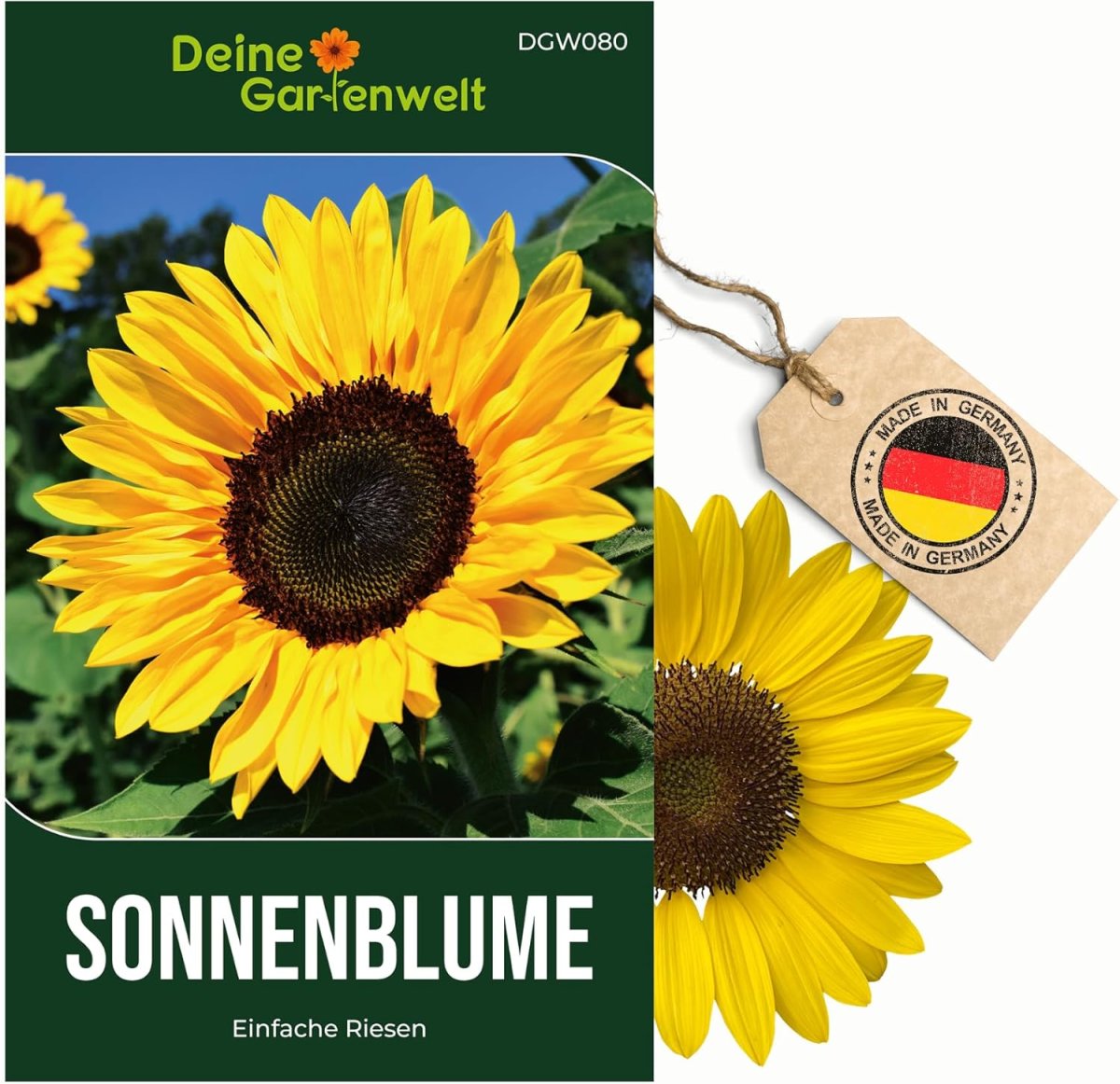 Sonnenblumen Einfache Riesen Samen - Helianthus annuus - Sonnenblumensamen - Blumensamen - Saatgut für 20 Pflanzen
